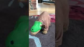 Pleo rb