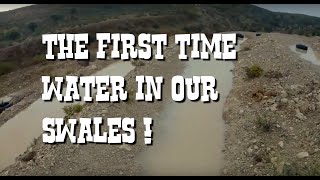 First Time Water in Swales in Andalucia - Regreening 6