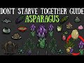 Don&#39;t Starve Together Guide: Asparagus - Giant Crops, Farming &amp; More