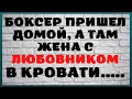 Грозный боксер и Жена без комплексов ! Анекдоты,Смех,Юмор,Анекдоты!