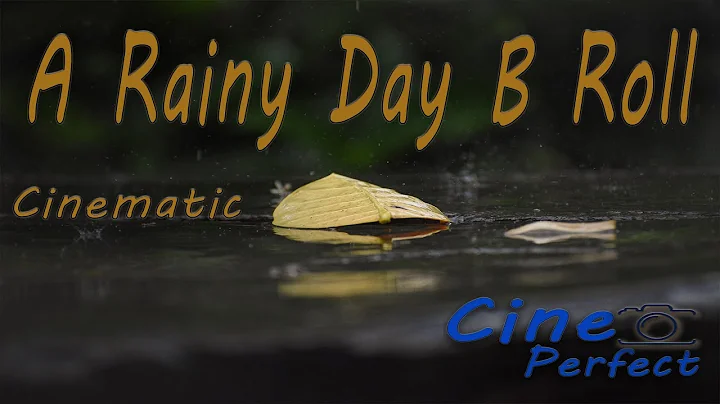 A Rainy Day B Roll Cinematic// Cine Perfect// 4K