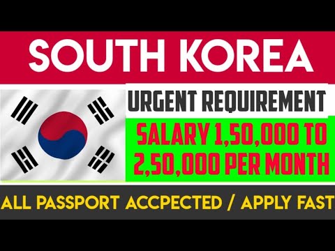 South korean intelligence jobs