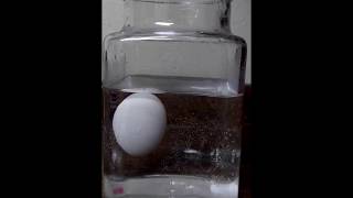 Simple test to determine if raw eggs are still edible