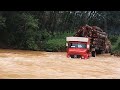 Lori Kayu Balak Malaysia Terjang Sungai Pahang