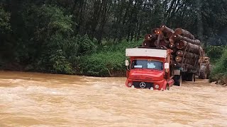 Lori Kayu Balak Malaysia Terjang Sungai Pahang