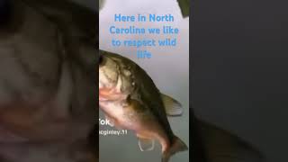 Here, in North Carolina we like to respect our wild life BACK FLIP!!!#bigcatch
