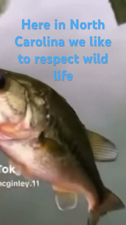 Here, in North Carolina we like to respect our wild life BACK FLIP!!!#bigcatch￼￼