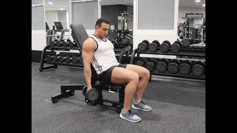 Alternate Incline Dumbbell Curl
