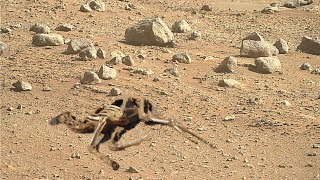 Mars Live 4k best footage captured by mars perseverance rover | latest Mars stunning video clip