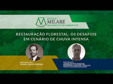 Restauração Florestal: os desafios em cenário de chuva intensa