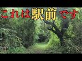 ジャングルじゃないです、現役駅前です。[秘境駅まで運転してみた第十弾]