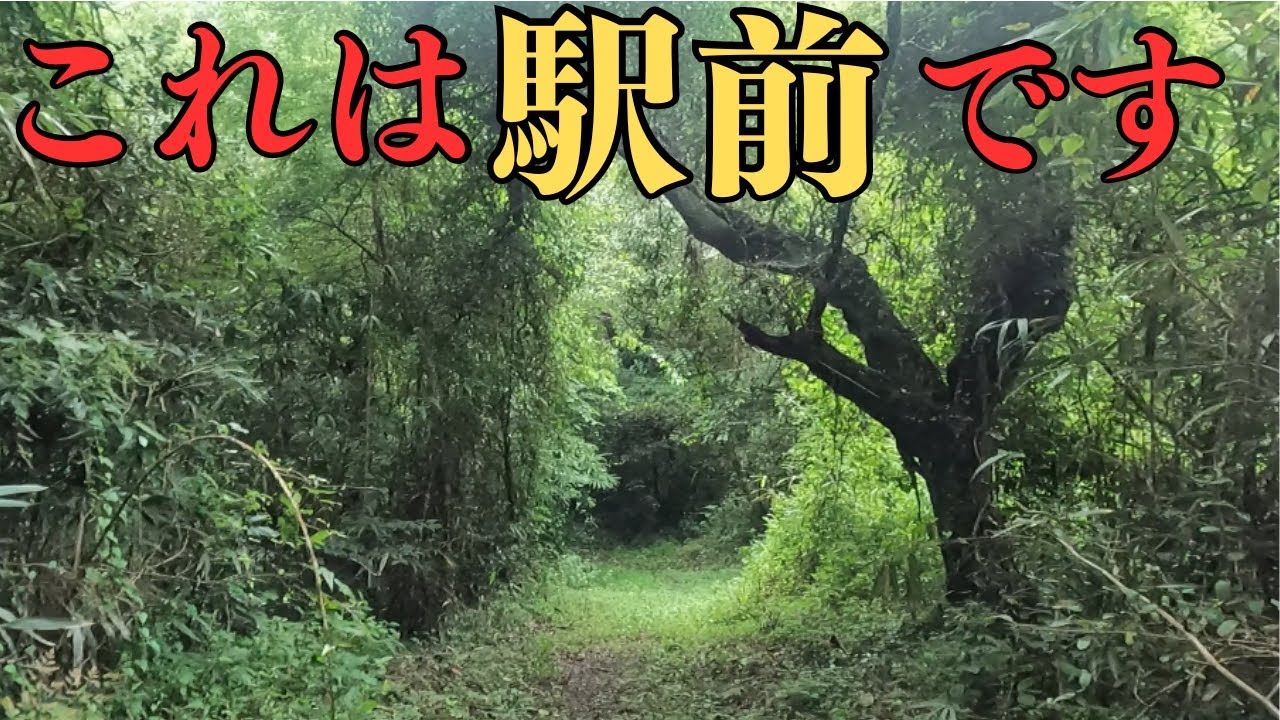 ジャングルじゃないです、現役駅前です。[秘境駅まで運転してみた第十弾]