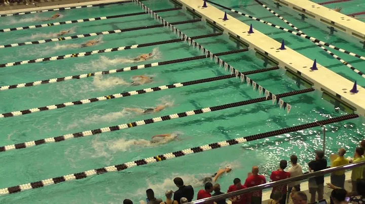 100 Free H3