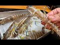 活きが良すぎるクルマエビを日本酒でキメるだけの動画