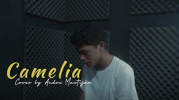 CAMELIA - IRWANSYAH | (Cover By Andre Mastijan)
