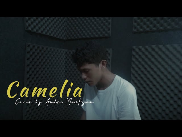 CAMELIA - IRWANSYAH | (Cover By Andre Mastijan) class=