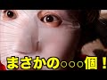 【全公開】グッズの売り上げが出たの見てみたら衝撃だった!