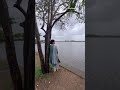 Rain🌧️ love💕 #rain #wind #love #riverside #selflove #shortsyoutube #ytshorts #new #trending