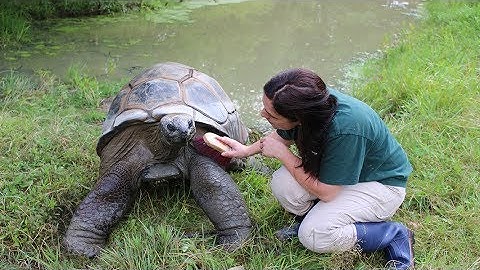 What advice do you have for someone interested in becoming a zoo keeper?