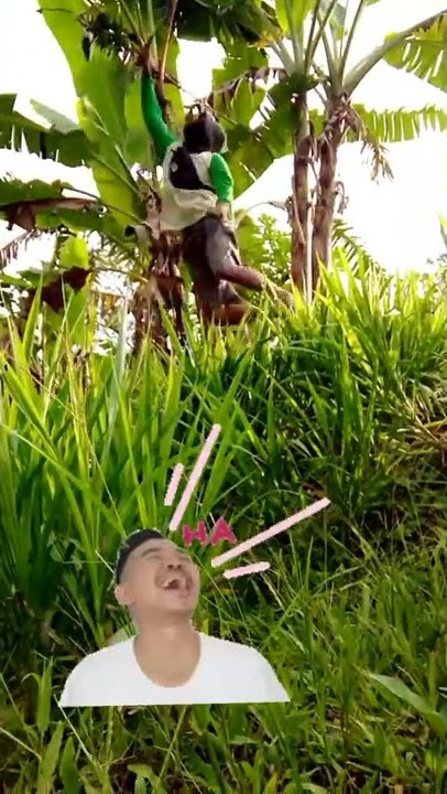 Ninja Warrior #shorts #youtubeshorts #funny #ngakak #lucu