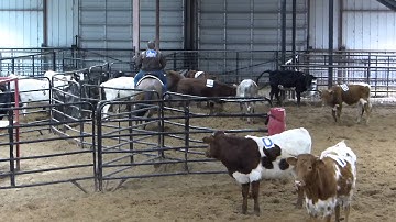 Shes All Tuff - sorting practice 3 - Valley View Ranch