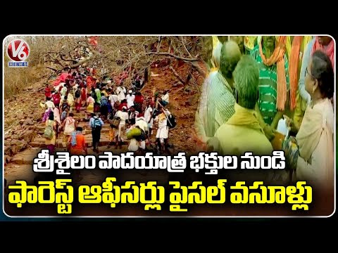 Forest officers Collects Money  From Lord shiva Devotees Who went To Srisailam By Walk |  V6 News - V6NEWSTELUGU