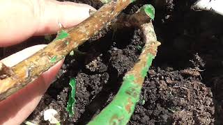 Посылка из интернет магазина 