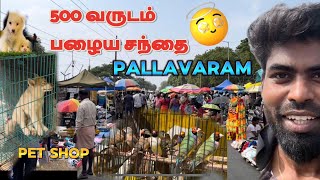 சென்னையில் இருக்கும் பழைய சந்தை | Chennai Pallavaram Friday Market in tamil
