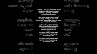 Minnal wala kayyilitta pennazhake  | Malayalam | Narivetta | #tovinothomas Thumb