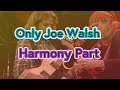 Hotel Carifornia / EAGLES guitar solo backing track with Joe Walsh harmony part