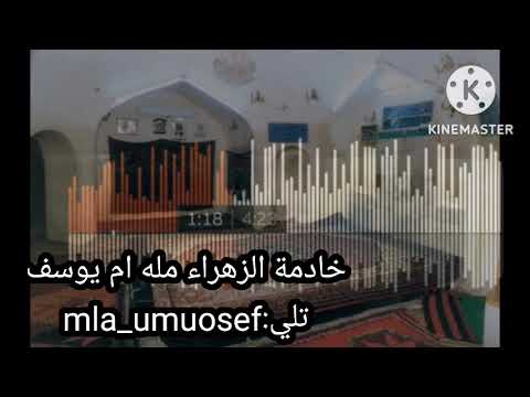 جاوين اهله شماله تون الدار بصوت خادمة الزهراء مله ام يوسف