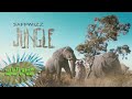 Saffwizz  jungle prod icxn