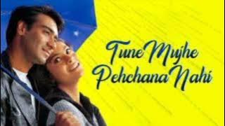 Tune Mujhe Pehchana Nahin - Raju Chacha 320  Kbps.mp3