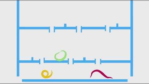 Anime Studio Physics Creatures