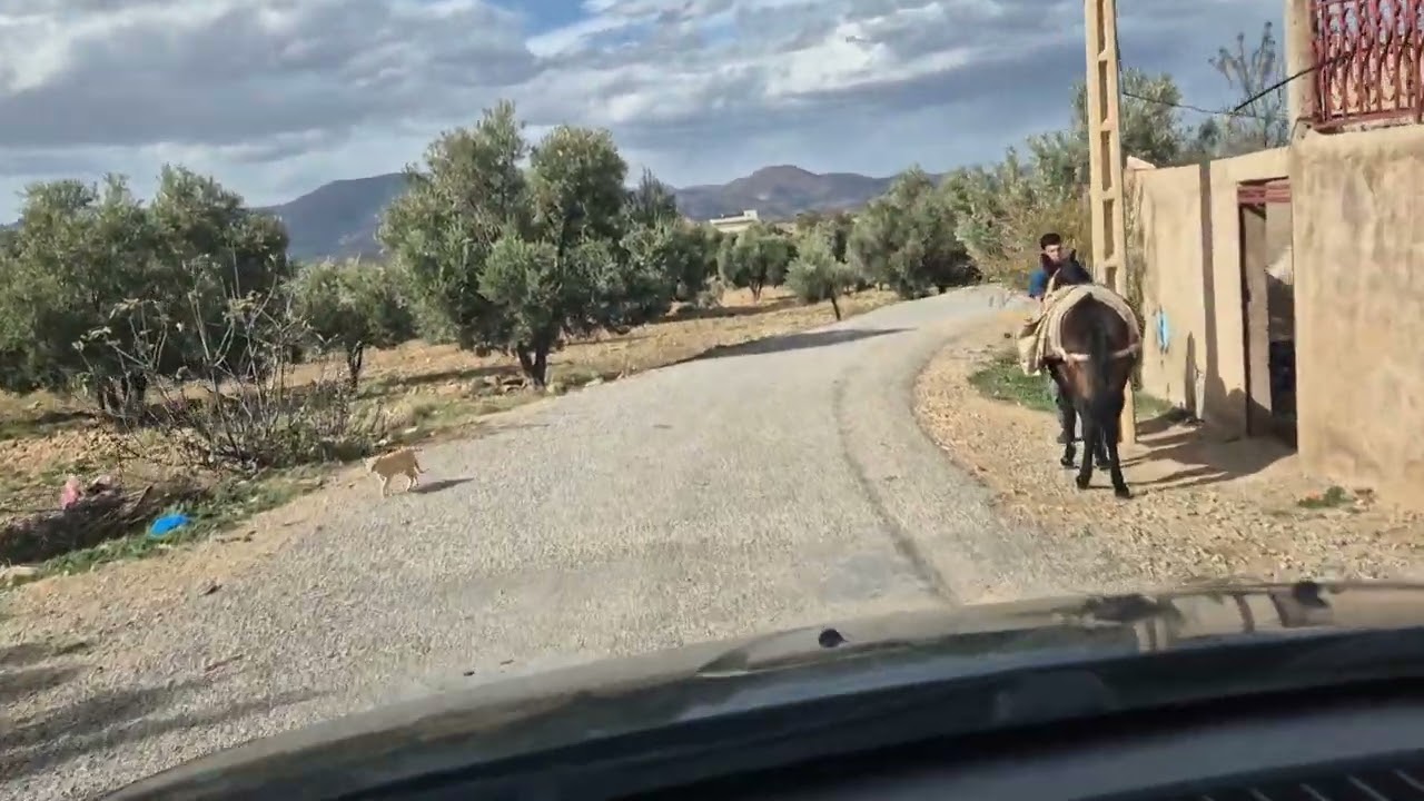 سكورة مذاز ..تادوت !