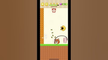 SAVE THE DOG Level 177 #shorts