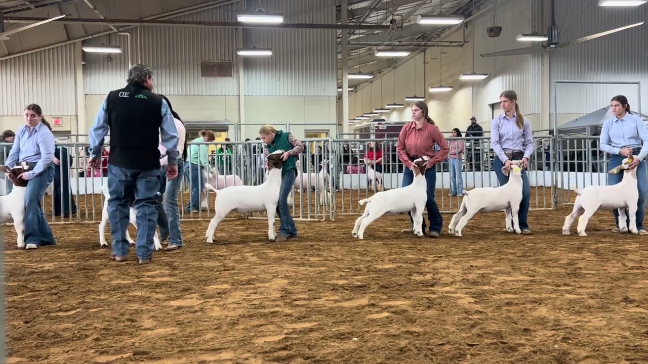 Some video of Natalie and Ruben at the Crowley FFA jackpot, Christmas in Crowley 12/21/2025