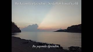 Şiir Bu Yaşımda Öğrendim Seyfullah İsmail Çelik