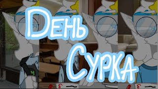 •| День сурка •|• Da-Dali |•