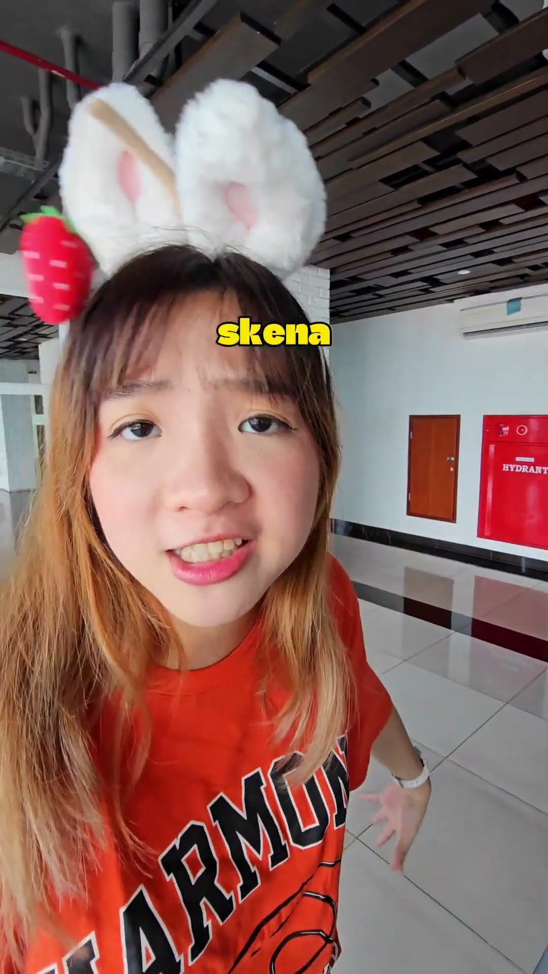APA KEPANJANGAN SKENA?!