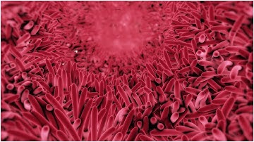 CILIA ENVIRONMENT in VR 360 Cilia environment VR 360 video