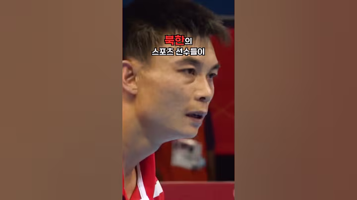 북한 선수가 대한민국 선수에게 지면 벌어지는 일