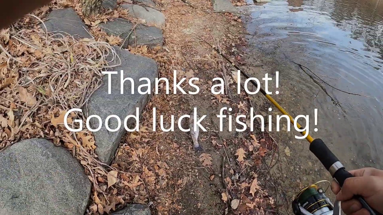 最简单鳟鱼钓组!Trout rig set up and fishing! - YouTube
