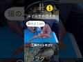 トラフグ釣り｜エビエサの切り方
