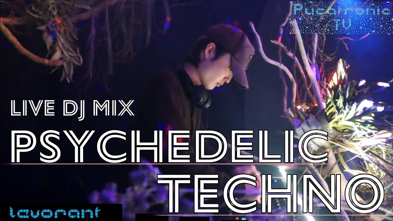 Live dj mix / levolant