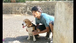 DOG SHORT FILM  | SECRET POCKET  || MOHAK MEET