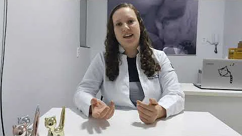 Como Evitar do gato pular o muro?