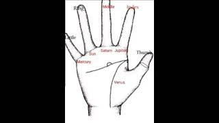 Head line pe Island hona ❤️✋ #palmistry