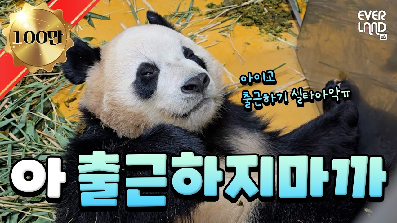 방금 눈 감았는데 왜 벌써 아침이야｜#판다와쏭 #240