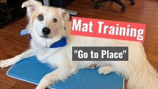 How to Train Your Dog to 'Go to Place'Mat Training